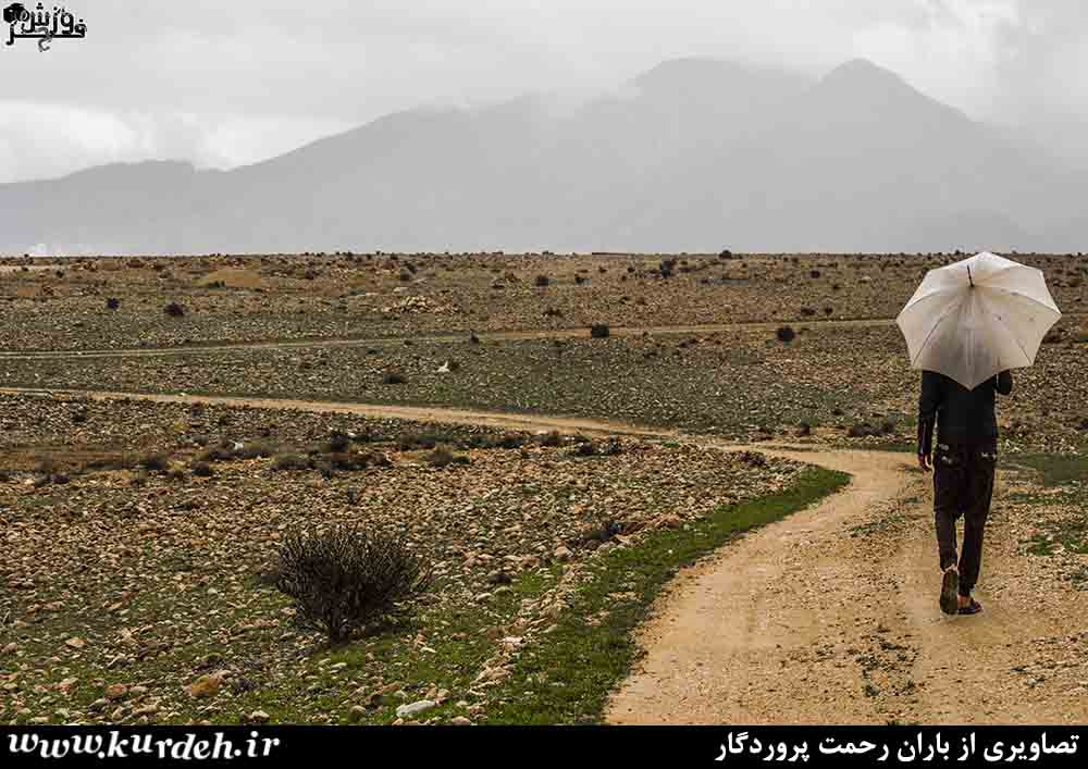 تصویر وجود ندارد